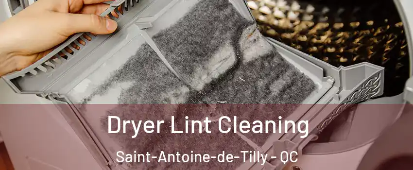Dryer Lint Cleaning Saint-Antoine-de-Tilly - QC