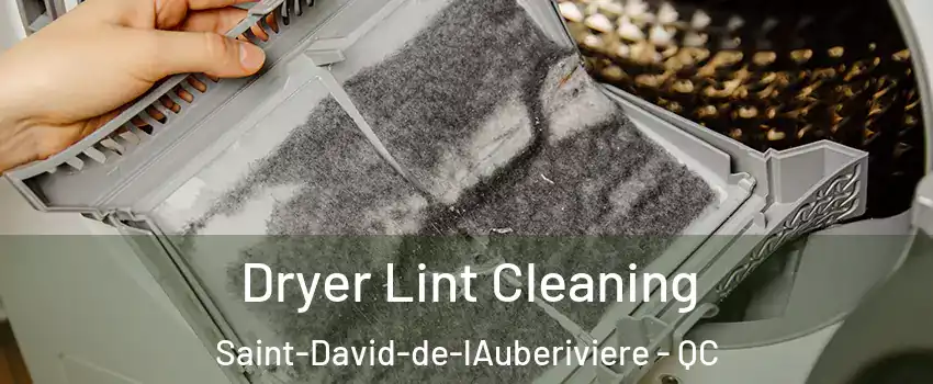 Dryer Lint Cleaning Saint-David-de-lAuberiviere - QC