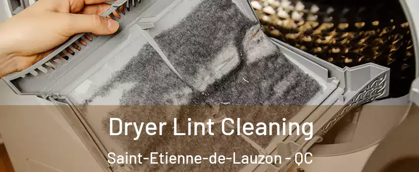 Dryer Lint Cleaning Saint-Etienne-de-Lauzon - QC