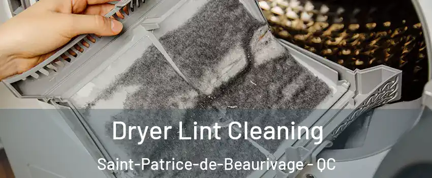 Dryer Lint Cleaning Saint-Patrice-de-Beaurivage - QC