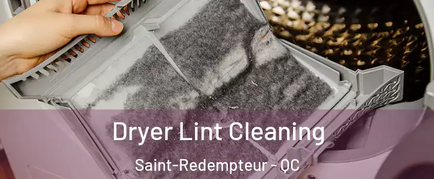Dryer Lint Cleaning Saint-Redempteur - QC