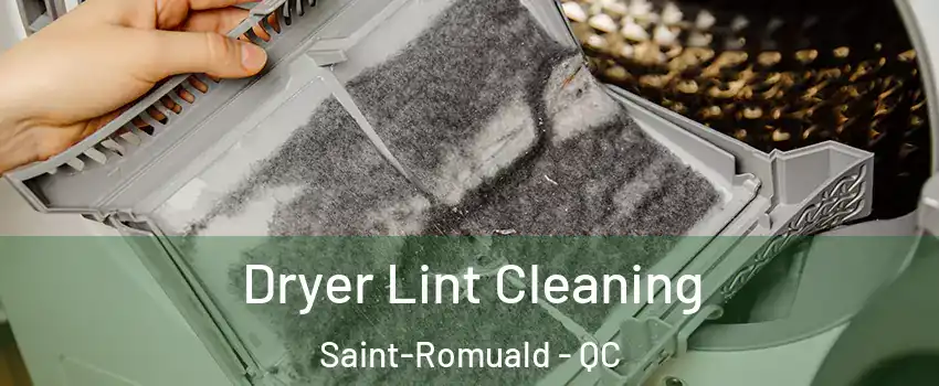 Dryer Lint Cleaning Saint-Romuald - QC