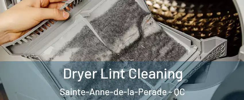 Dryer Lint Cleaning Sainte-Anne-de-la-Perade - QC