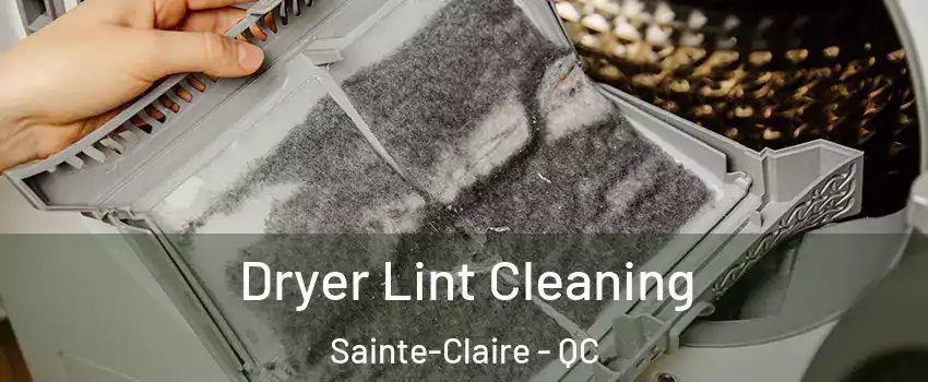  Dryer Lint Cleaning Sainte-Claire - QC