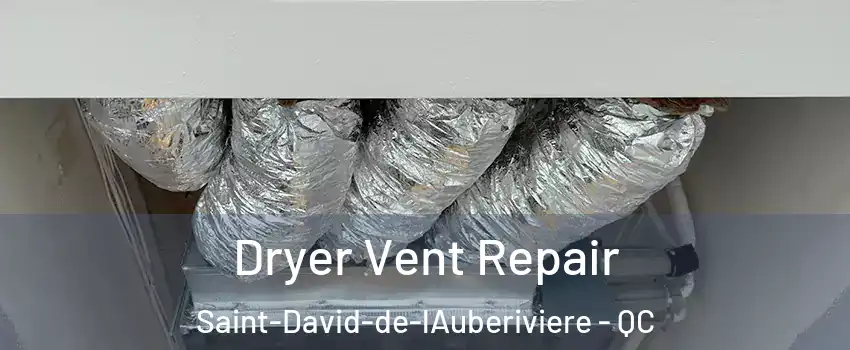 Dryer Vent Repair Saint-David-de-lAuberiviere - QC