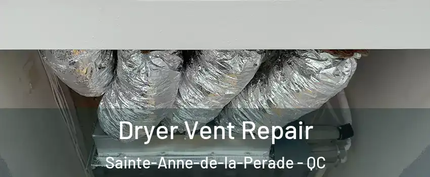 Dryer Vent Repair Sainte-Anne-de-la-Perade - QC