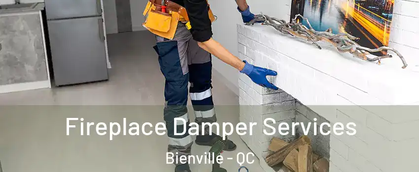  Fireplace Damper Services Bienville - QC