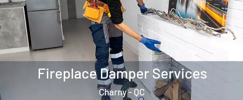  Fireplace Damper Services Charny - QC