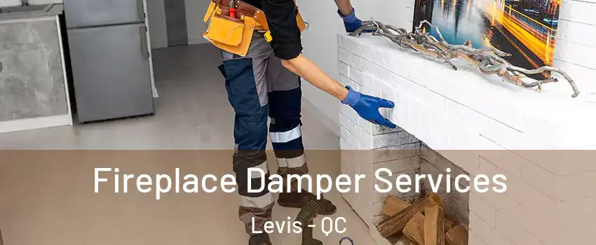 Fireplace Damper Services Levis - QC