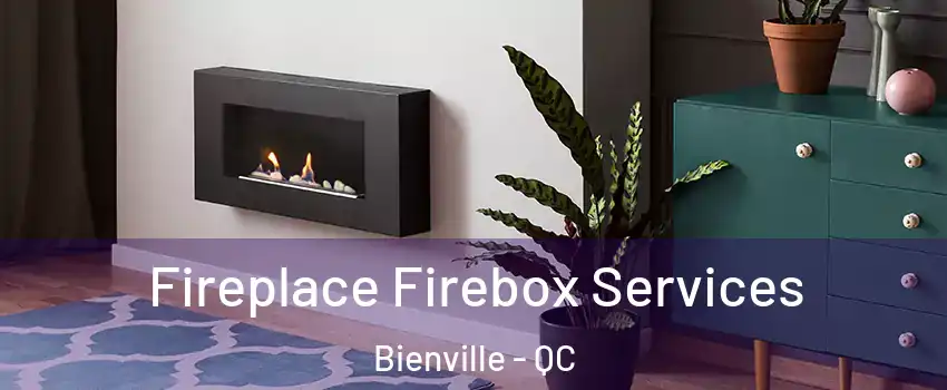 Fireplace Firebox Services Bienville - QC