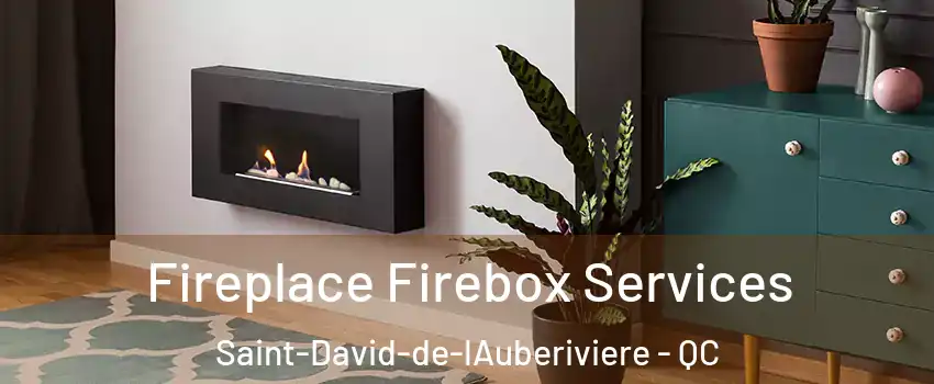  Fireplace Firebox Services Saint-David-de-lAuberiviere - QC
