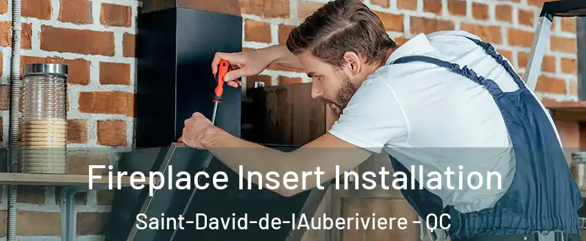  Fireplace Insert Installation Saint-David-de-lAuberiviere - QC