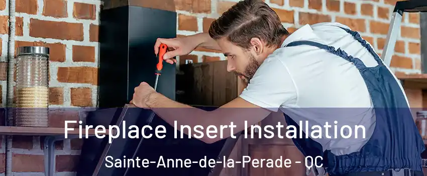  Fireplace Insert Installation Sainte-Anne-de-la-Perade - QC