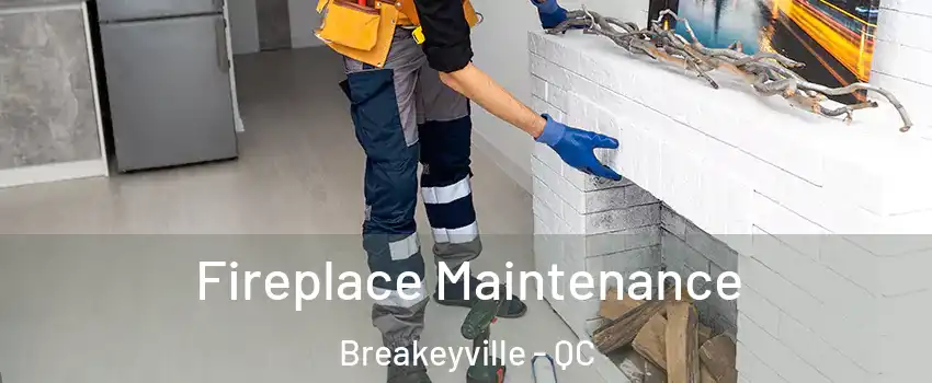 Fireplace Maintenance Breakeyville - QC