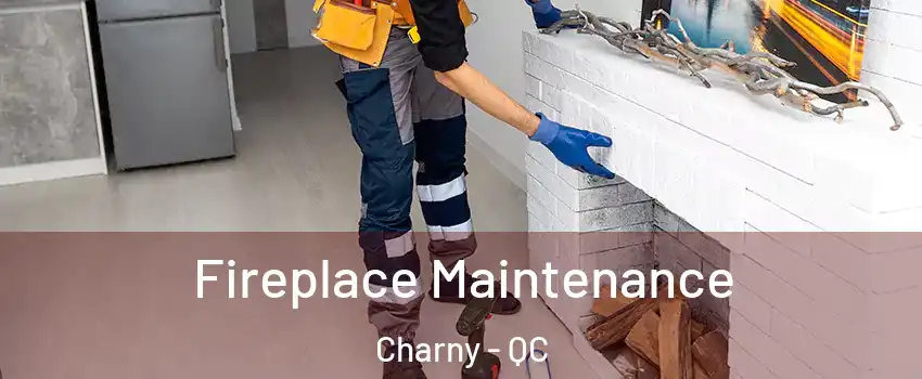  Fireplace Maintenance Charny - QC