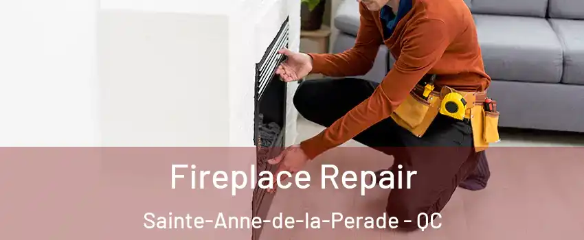 Fireplace Repair Sainte-Anne-de-la-Perade - QC