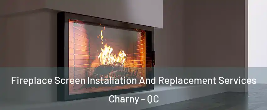  Fireplace Screen Installation And Replacement Services Charny - QC