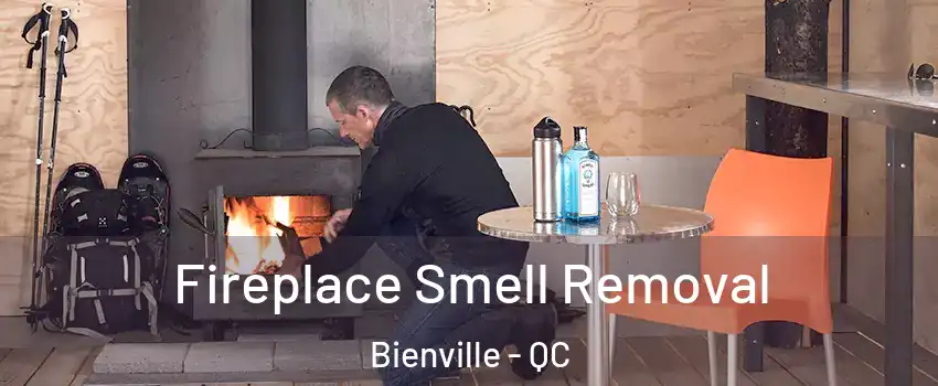  Fireplace Smell Removal Bienville - QC