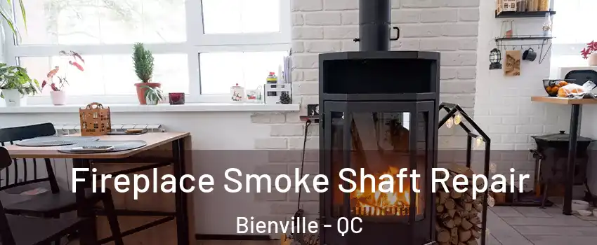 Fireplace Smoke Shaft Repair Bienville - QC