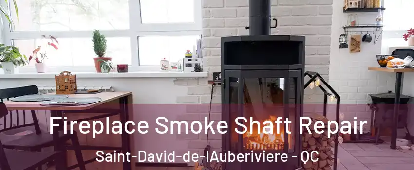 Fireplace Smoke Shaft Repair Saint-David-de-lAuberiviere - QC