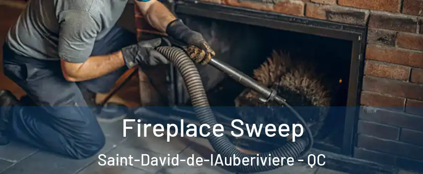  Fireplace Sweep Saint-David-de-lAuberiviere - QC