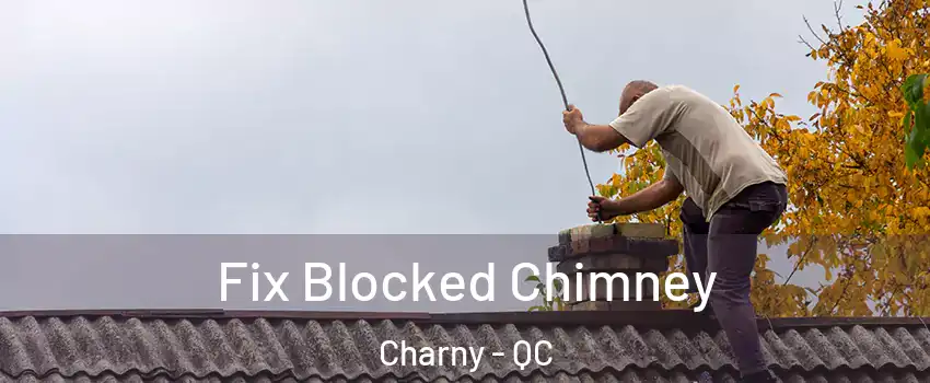 Fix Blocked Chimney Charny - QC