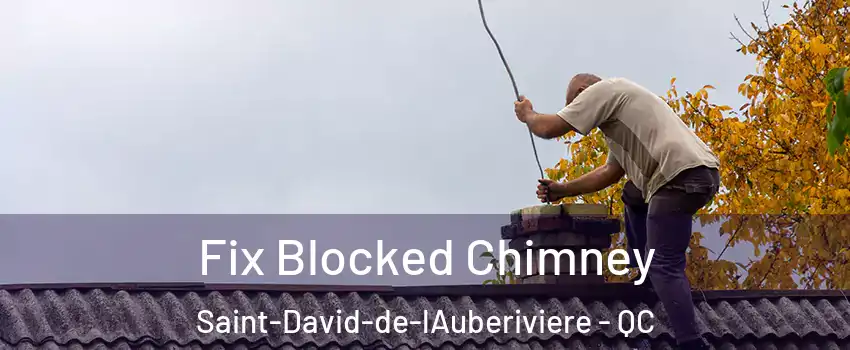 Fix Blocked Chimney Saint-David-de-lAuberiviere - QC