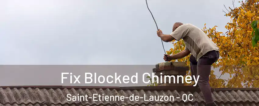  Fix Blocked Chimney Saint-Etienne-de-Lauzon - QC