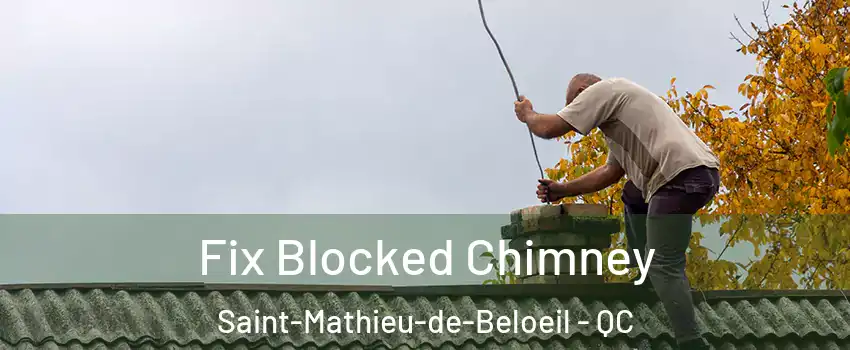 Fix Blocked Chimney Saint-Mathieu-de-Beloeil - QC