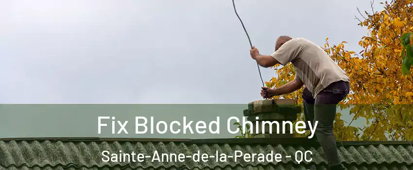 Fix Blocked Chimney Sainte-Anne-de-la-Perade - QC