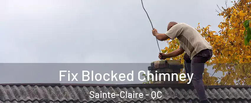 Fix Blocked Chimney Sainte-Claire - QC