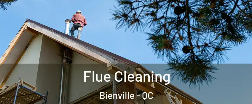 Flue Cleaning Bienville - QC