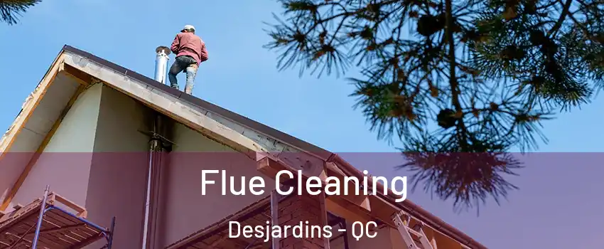 Flue Cleaning Desjardins - QC