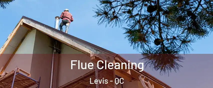 Flue Cleaning Levis - QC