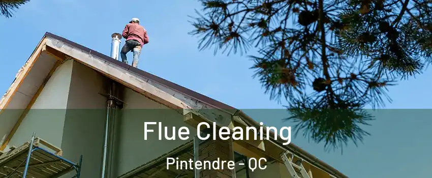  Flue Cleaning Pintendre - QC