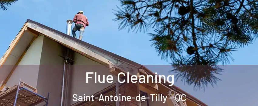 Flue Cleaning Saint-Antoine-de-Tilly - QC