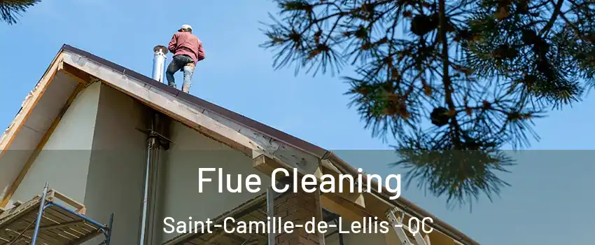 Flue Cleaning Saint-Camille-de-Lellis - QC