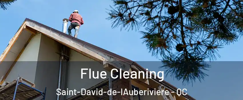 Flue Cleaning Saint-David-de-lAuberiviere - QC