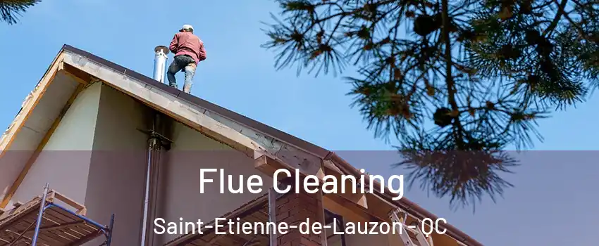 Flue Cleaning Saint-Etienne-de-Lauzon - QC