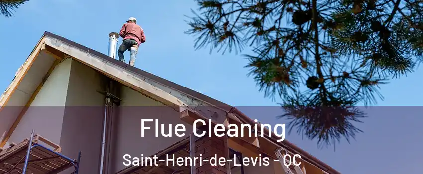  Flue Cleaning Saint-Henri-de-Levis - QC