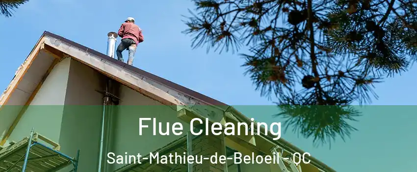 Flue Cleaning Saint-Mathieu-de-Beloeil - QC