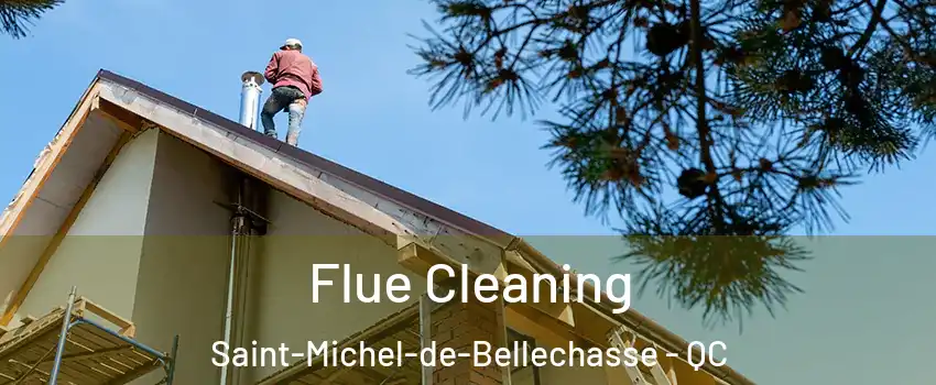 Flue Cleaning Saint-Michel-de-Bellechasse - QC
