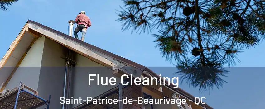 Flue Cleaning Saint-Patrice-de-Beaurivage - QC
