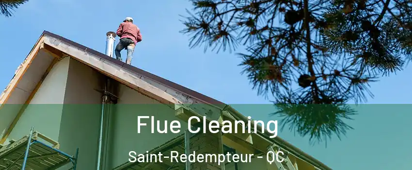 Flue Cleaning Saint-Redempteur - QC