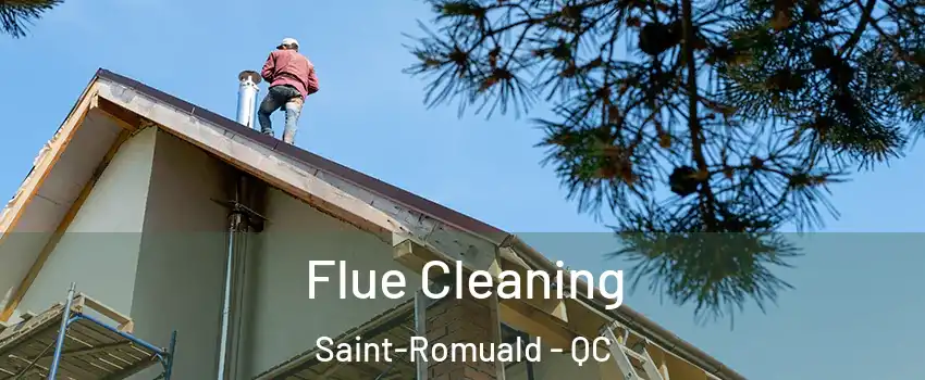 Flue Cleaning Saint-Romuald - QC
