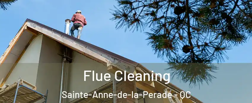 Flue Cleaning Sainte-Anne-de-la-Perade - QC