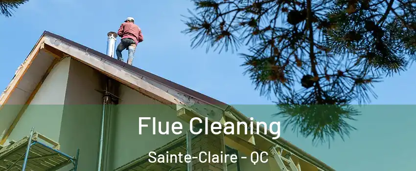 Flue Cleaning Sainte-Claire - QC