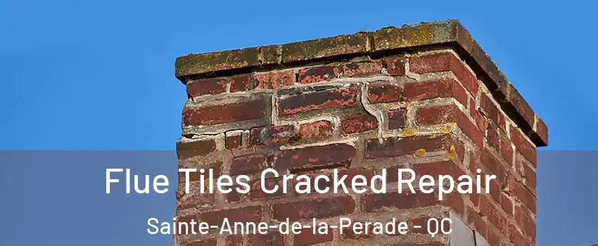 Flue Tiles Cracked Repair Sainte-Anne-de-la-Perade - QC