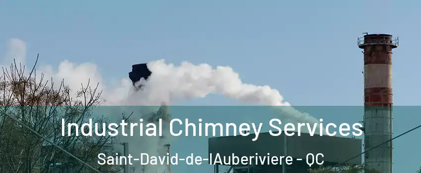  Industrial Chimney Services Saint-David-de-lAuberiviere - QC