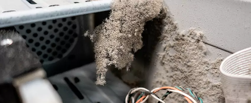 Clogged Dryer Vent Lint Cleaning in Levis, Quebec